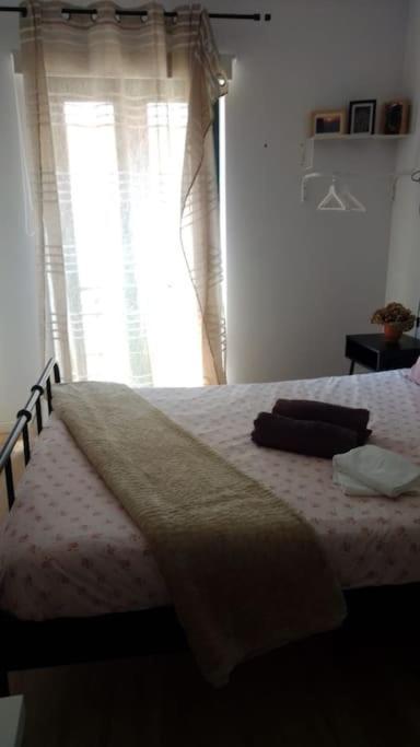 Gran Apartamento En Centro Historico De Santiago Santiago de Compostela Luaran gambar